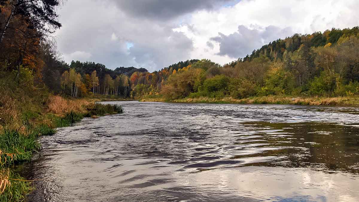 Kur, kaip ir kuo gaudome lašišas bei šlakius. I dalis
