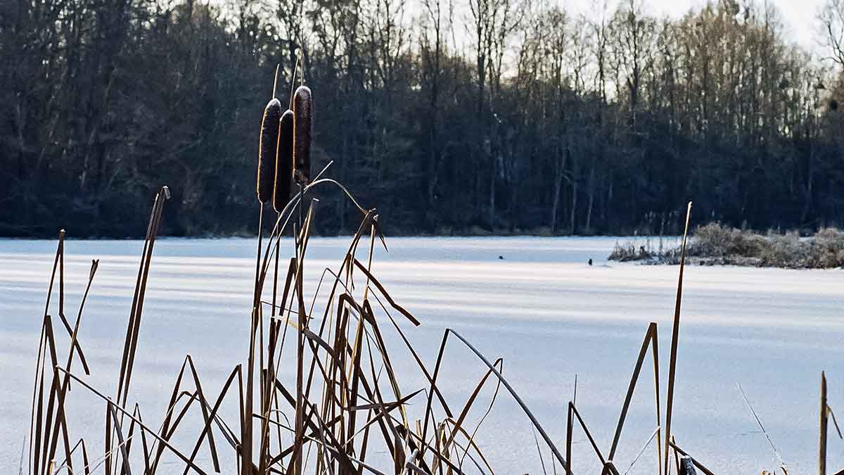 Užtemdyti eketę ar ne? Antra dalis