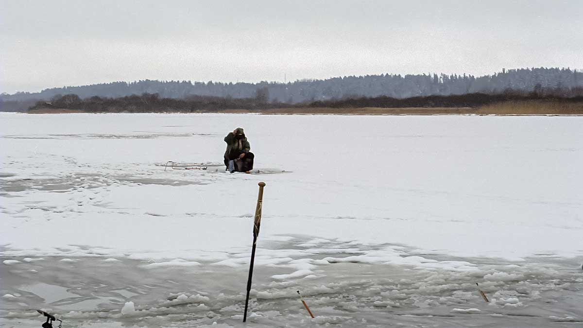 Dar kartą apie šoninius pavadėlius