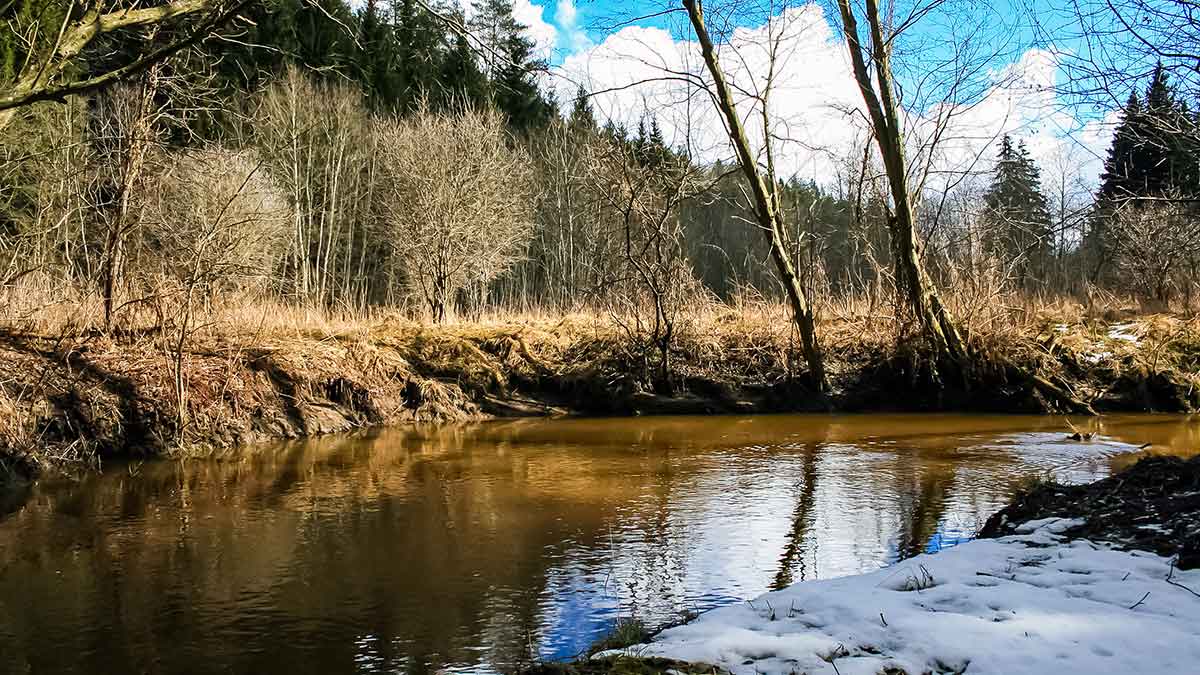 Ar būna geriausi masalai upėtakiams? Guminukų privalumai