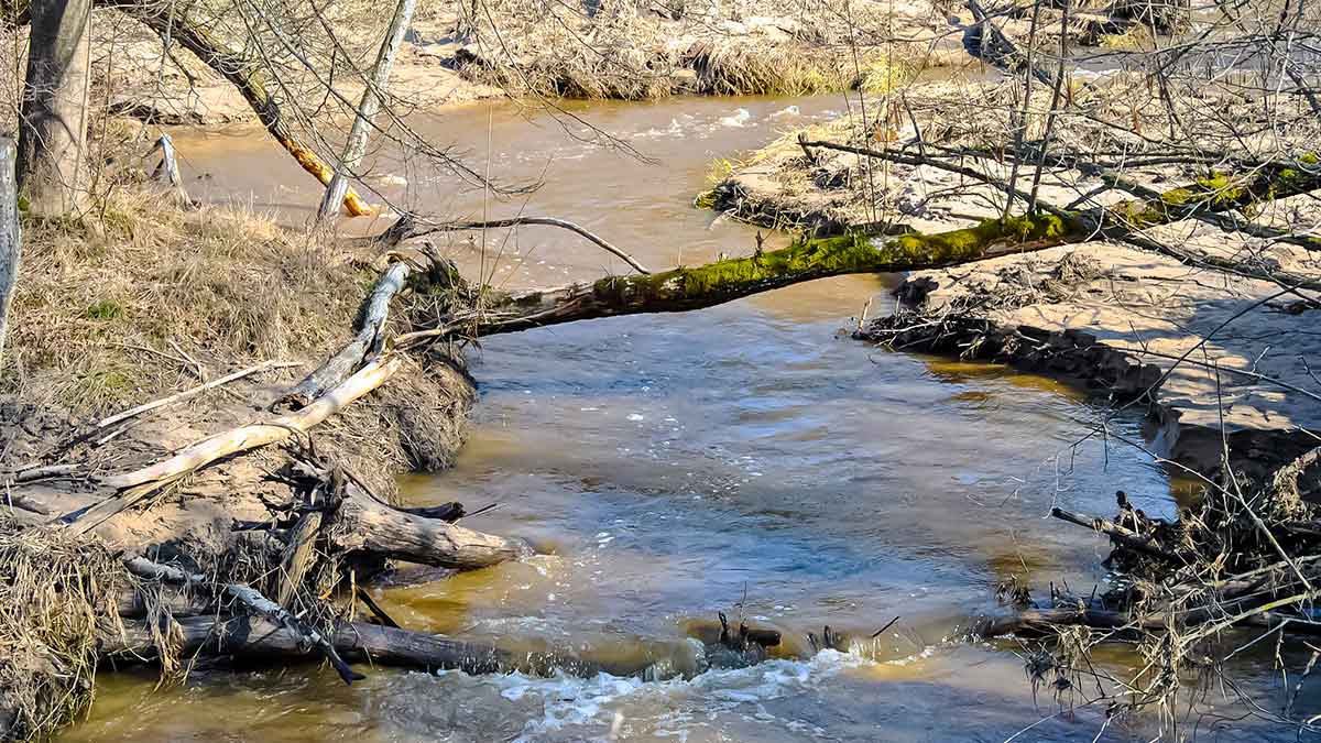 Upėtakių gaudymas sukriukėmis. Pavasario pradžia ir vidurys