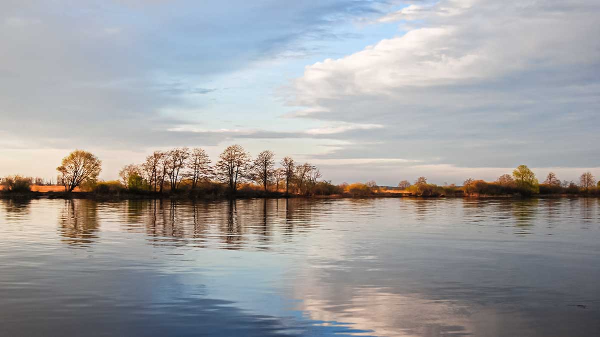 Jei salatis arčiau dugno. Vėstant brakonieriavimui šyla klimatas
