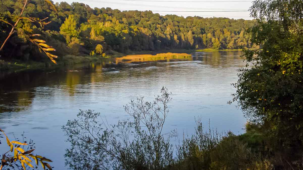 Jei salatis arčiau dugno. Žūklė blizgėmis