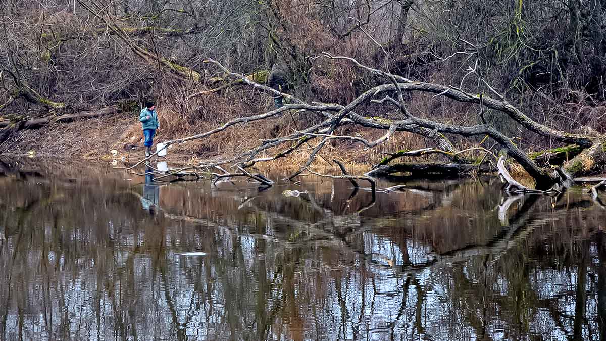 Nenuvertinkime kuojų žūklės. Jaukinimas priklauso nuo žūklavietės