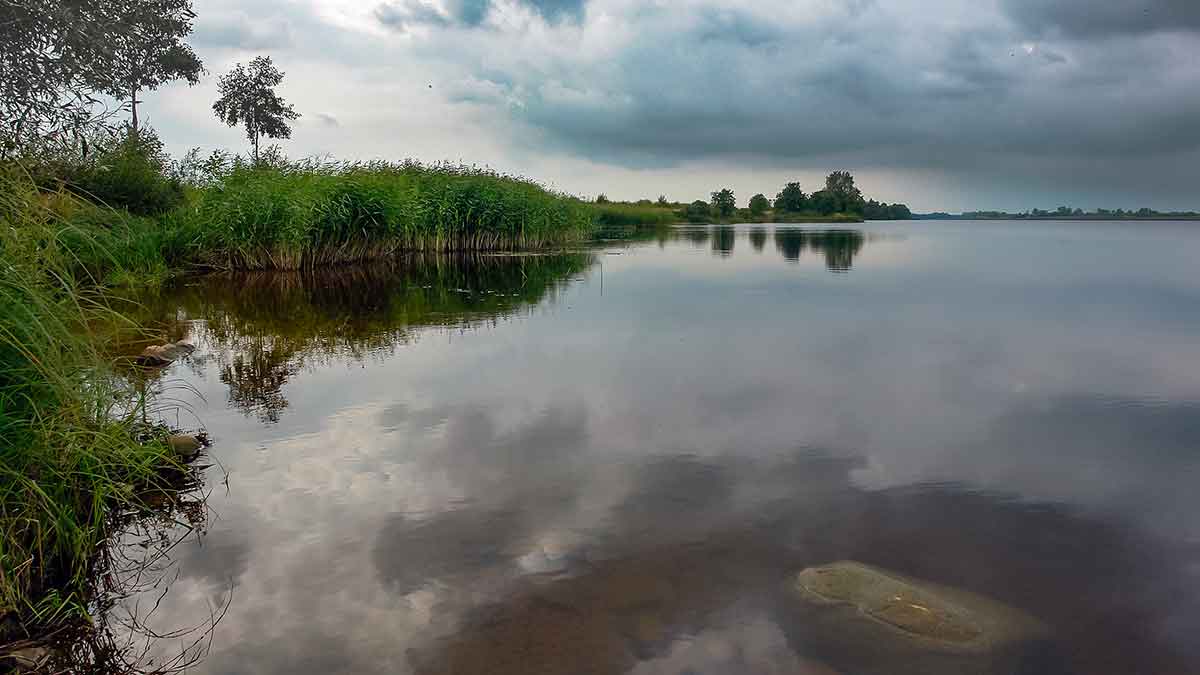 Mažesnių nei metras – negaudysim! Lydekų paieškos