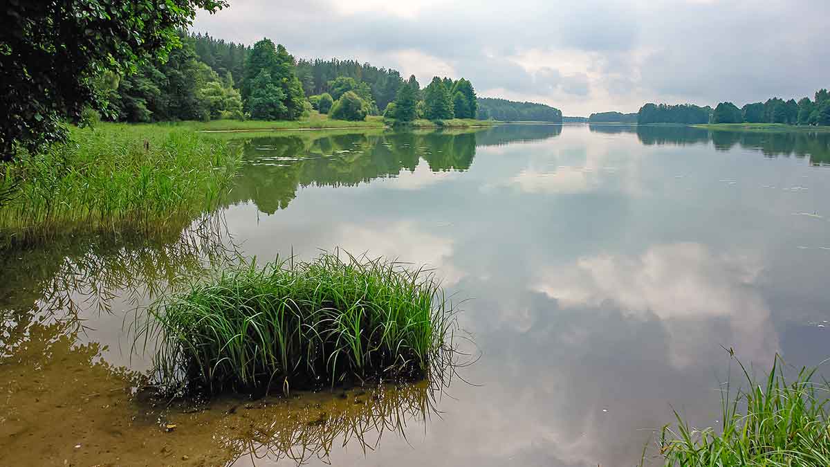 Mažesnių nei metras – negaudysim! Bendrais bruožais apie masalus