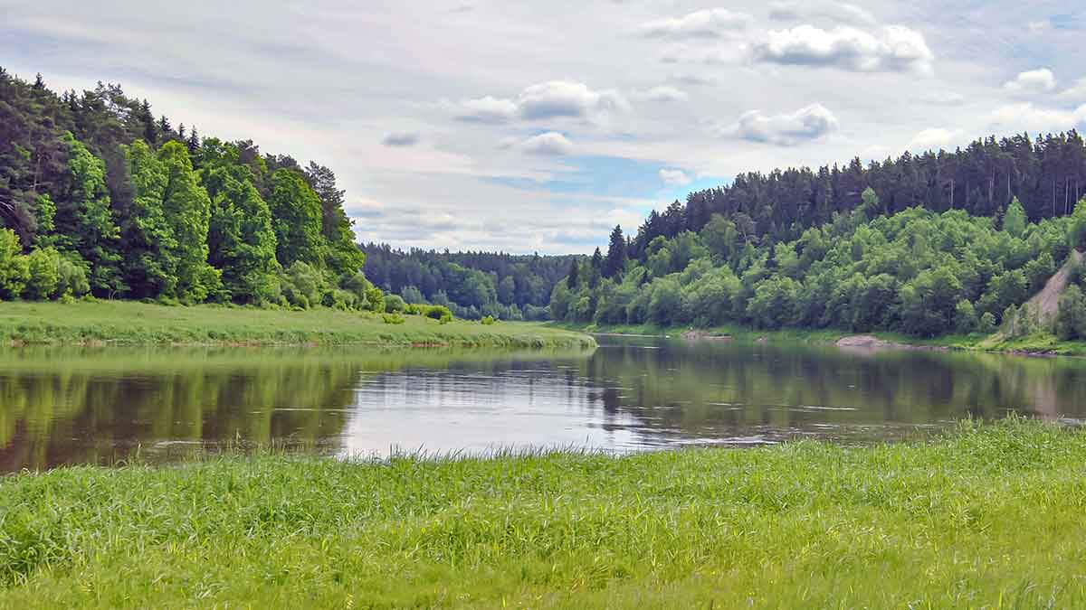 Nemuno kilpomis nuo Alytaus iki Prienų