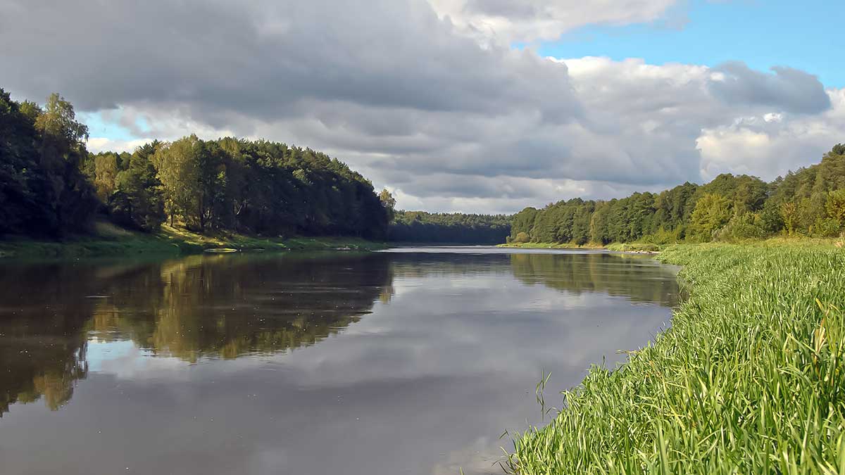 Kaip pagauti Nemune karpį. Masalų ir žūklaviečių paieškos