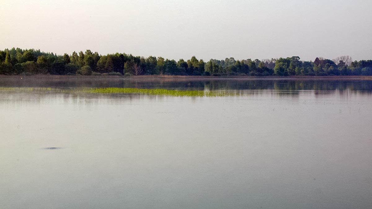 Karosai ir rudens alsavimas
