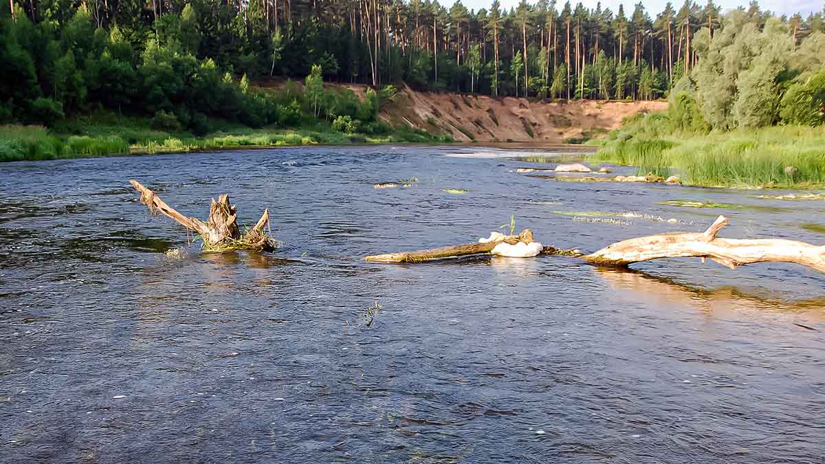 Kaip sugundyti kiršlį