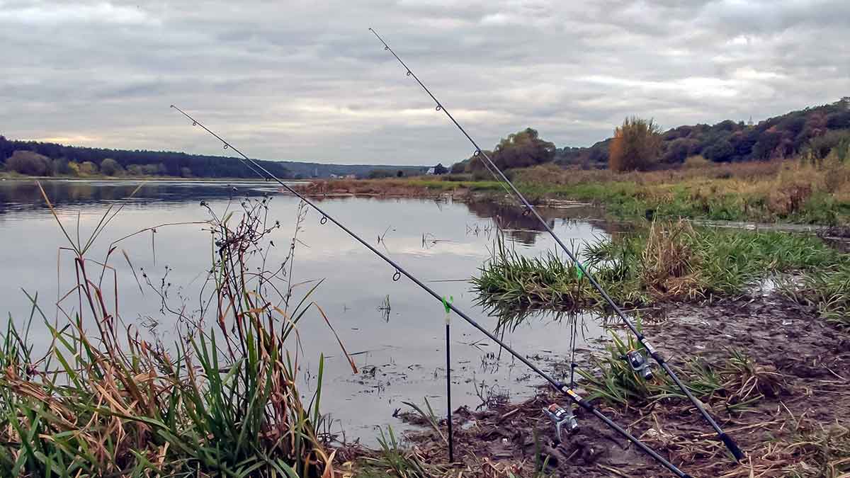 Jei lydekos nekibs, eisim gaudyti karšių. Pirma dalis