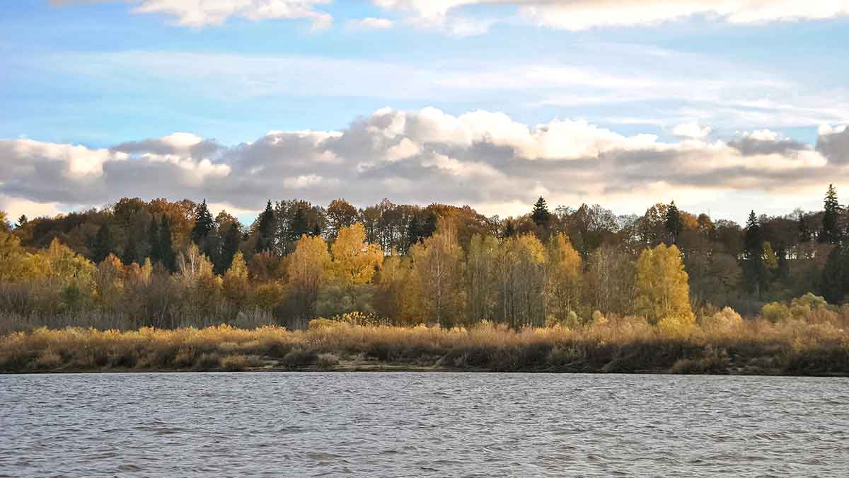 Ruduo, velkė ir minnow vobleriai. Antra dalis