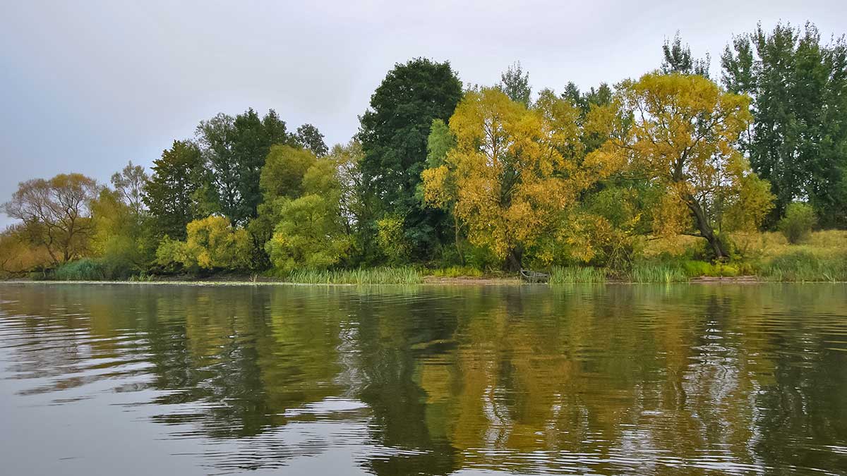 Ruduo, velkė ir minnow vobleriai. Trečia dalis