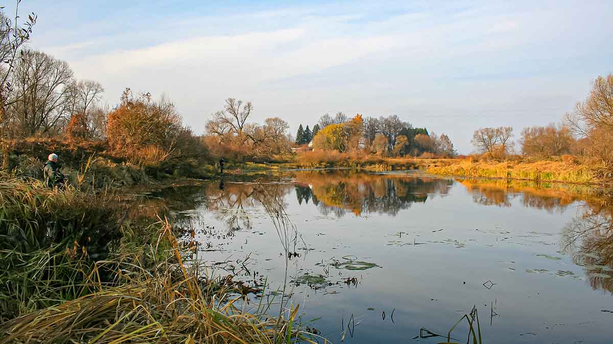 Retai lankomų vandens telkinių lydekos. Pirma dalis
