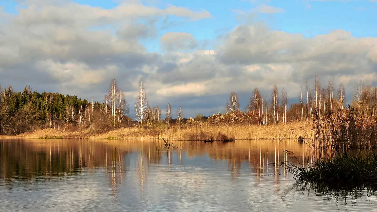 Pabandykime surasti kibiausią riperį. Pirma dalis