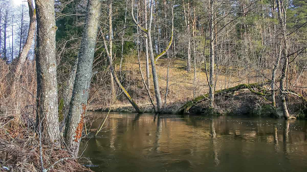 Praėjusį sezoną prisimenant... Pavasaris