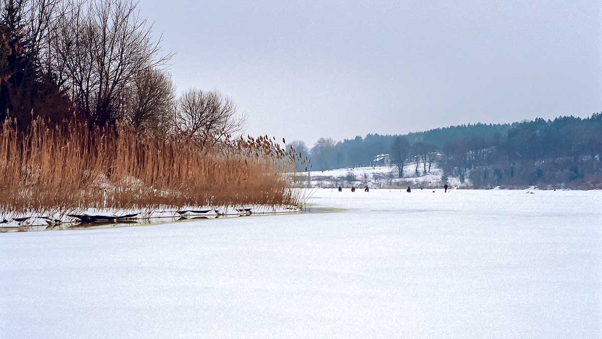 Plačiau apie avižėles. Pirma dalis