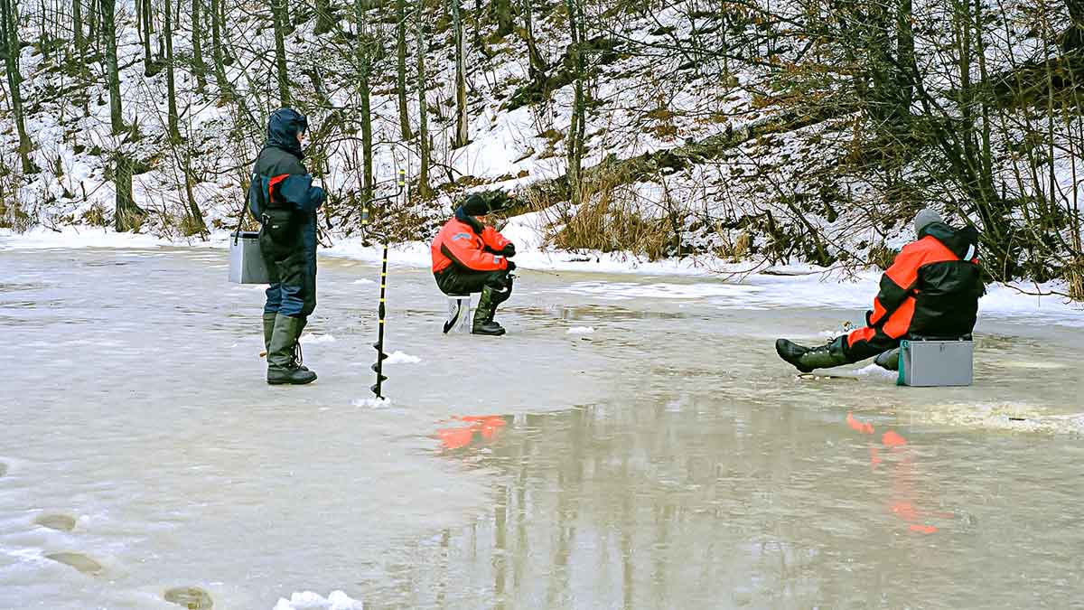 Plačiau apie avižėles. Trečia dalis