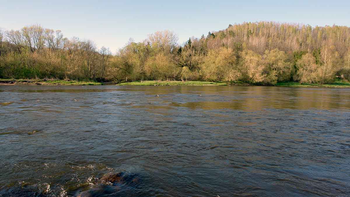 Sukriukė – prieš srovę ar pasroviui? Pirma dalis