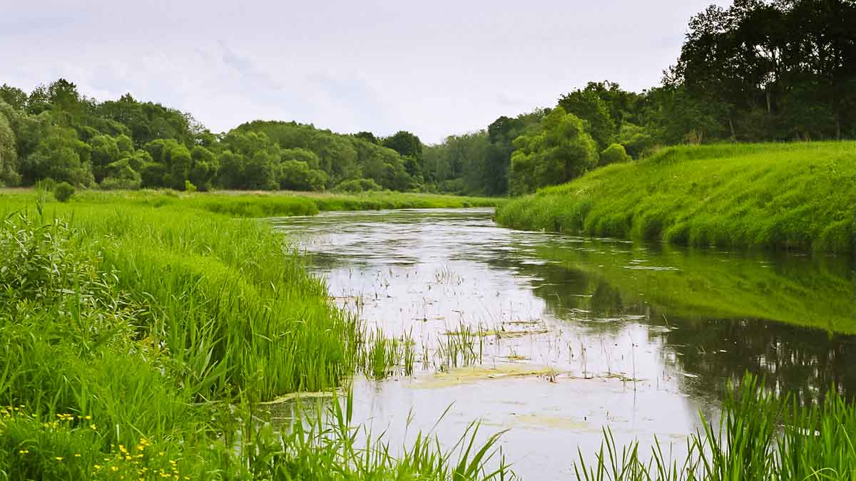 Šapalų žūklė, kai ateina gegužis. Antra dalis