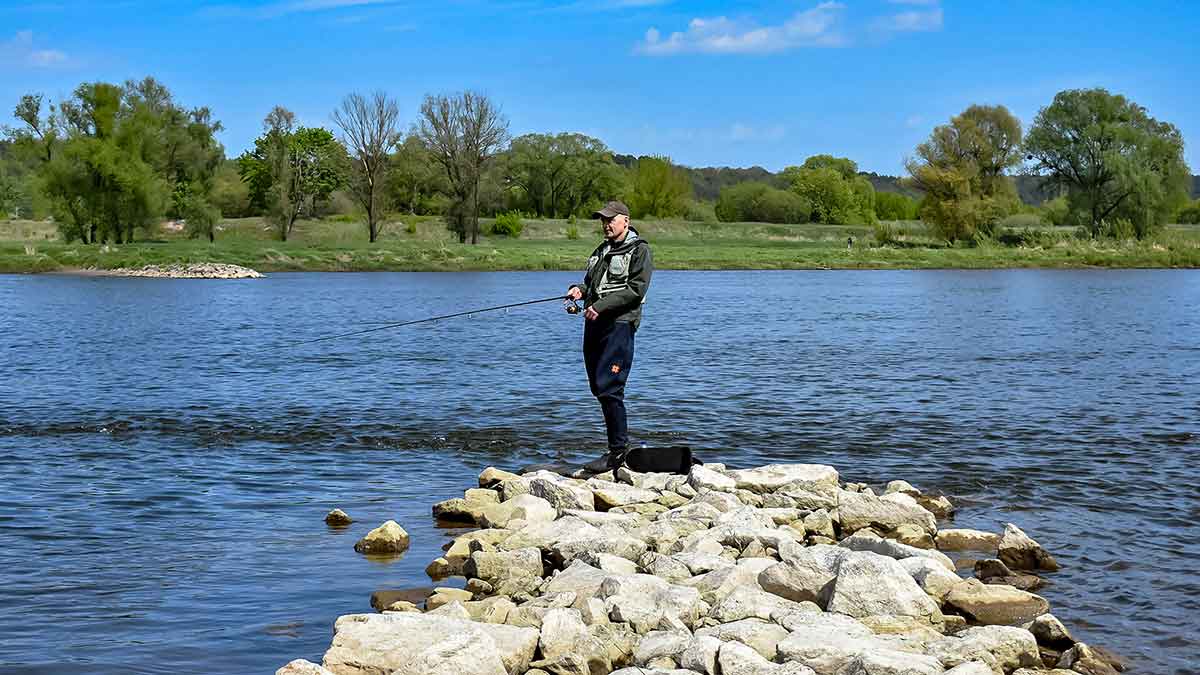 Salačiai ir vobleriai: masalų – daug, o gerų – tik keletas