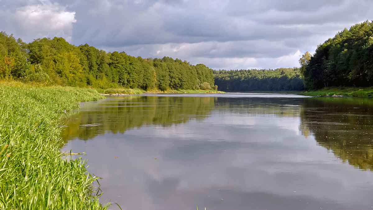 Dviejų uodegėlių fenomenas. Antra dalis