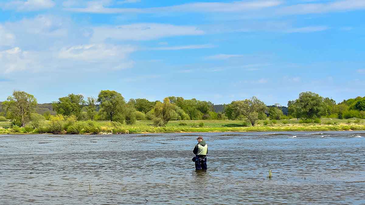 Dviejų uodegėlių fenomenas. Trečia dalis