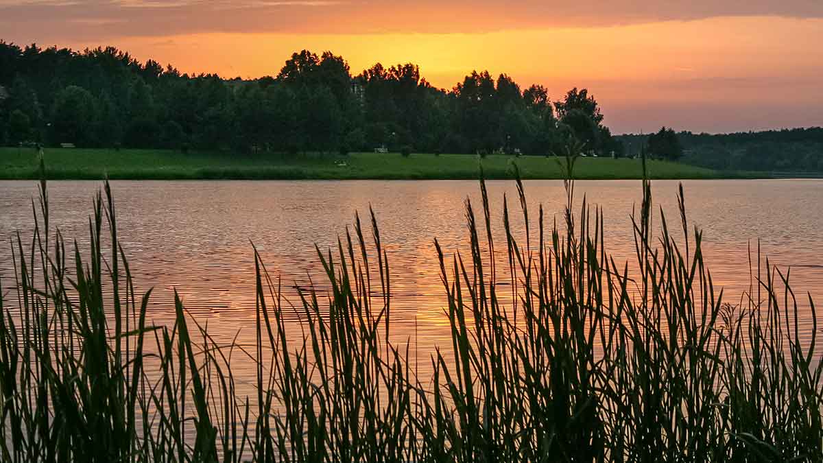 Karosus – dugnine meškere. Pirma dalis