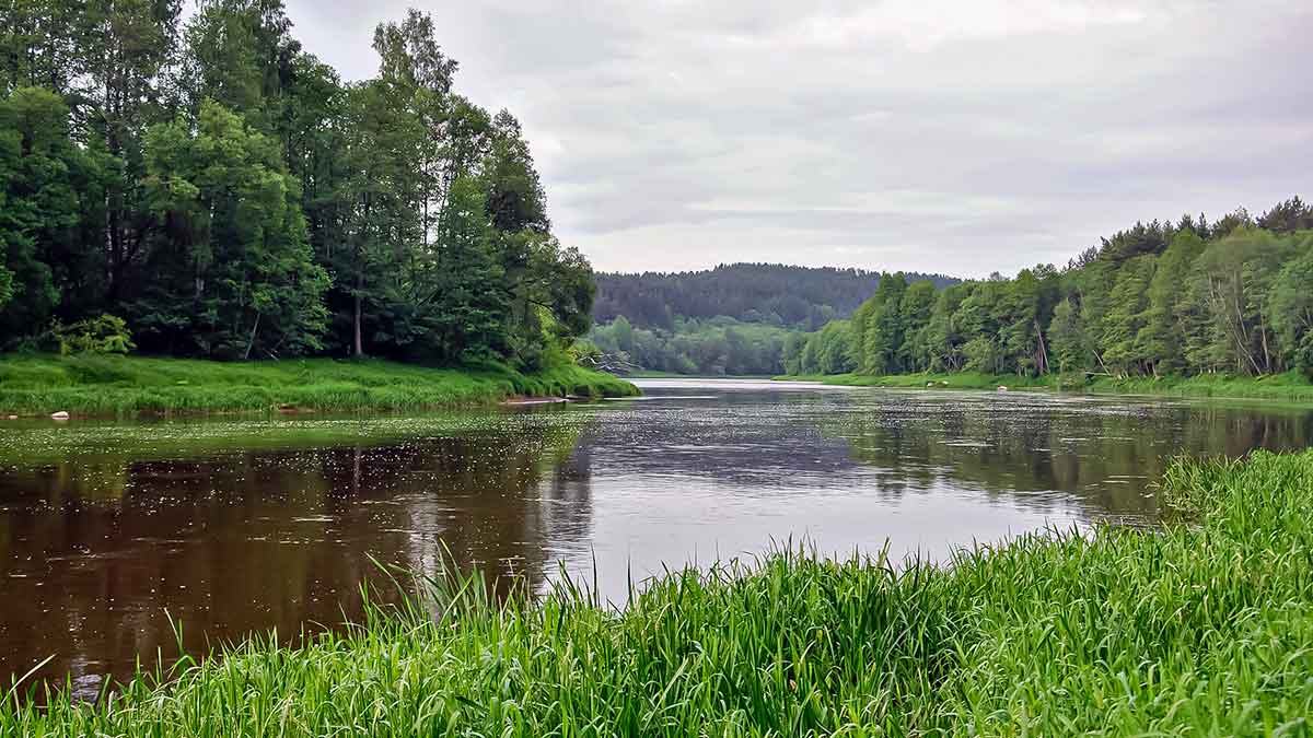 Ne tik salatiniai delikatesai. Antra dalis