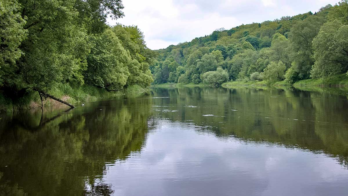 Didžiųjų upių plakiai. Pirma dalis