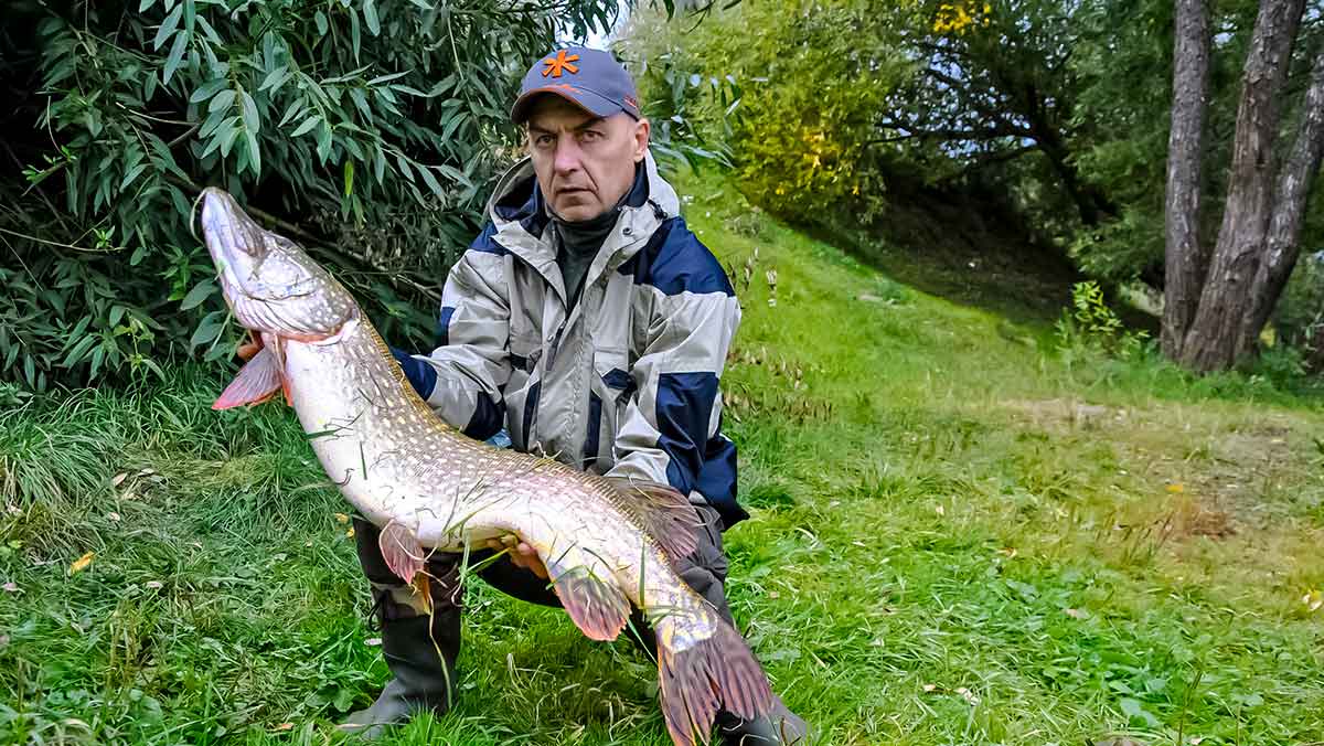 Salmo „Elite Jig&Twitch“ – didelės galimybės už mažą kainą