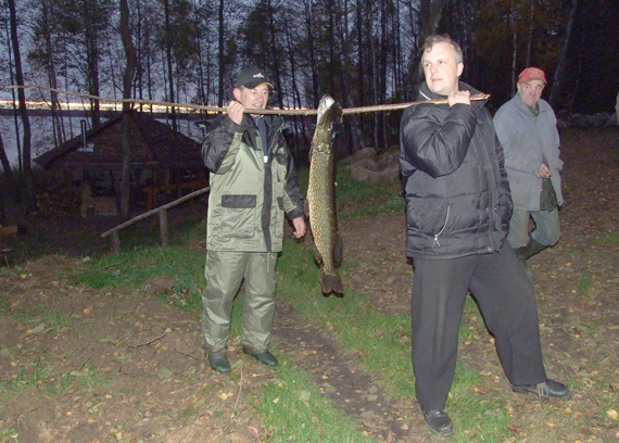 Seliavinės lydekos jau vaikosi grobį