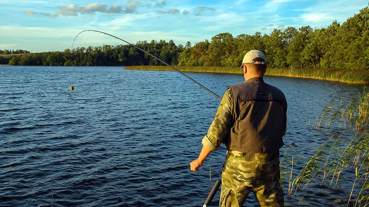 Plačiau apie viršūnėles ir šiek tiek apie dugnines. Pirma dalis