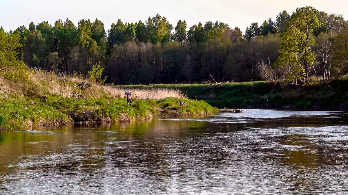 Plačiau apie viršūnėles ir šiek tiek apie dugnines. Antra dalis