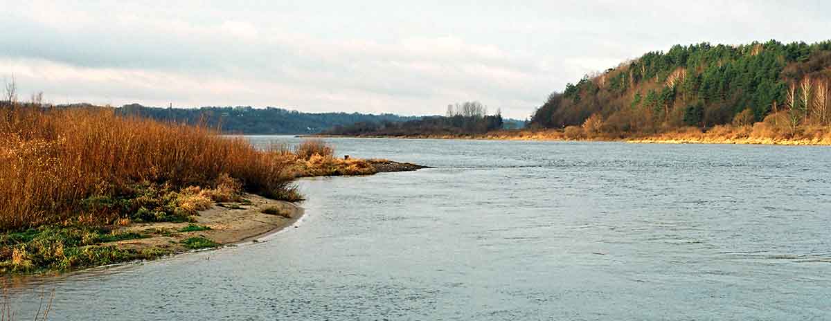 Ešerius guminukais, bet nedžigaujant