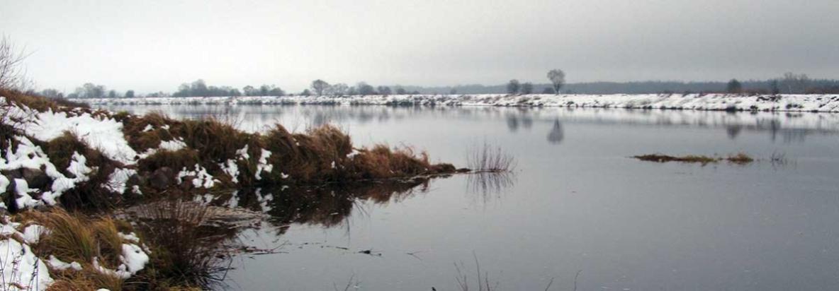 Vėgėlės iš Neries upės