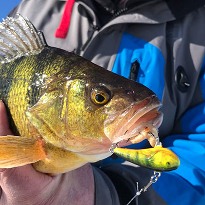 KAM NAUDOJAMI „CHUBBY DARTER“ MASALAI?