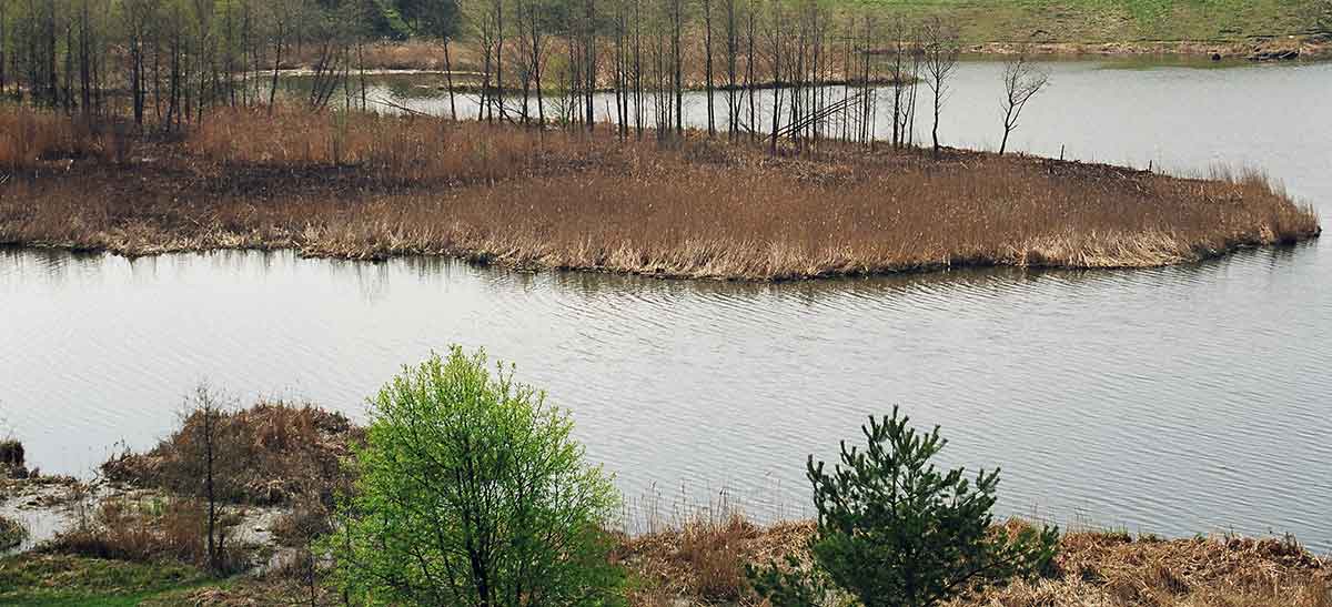 Stambiųjų karosų metas