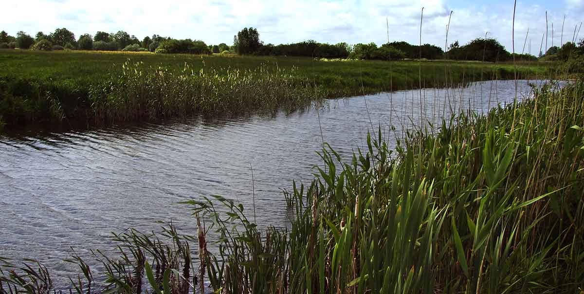 Karosų meškeriojimas bolonijos stiliumi