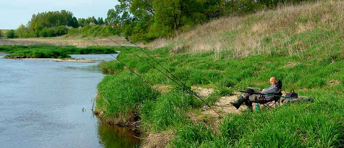 Didžiulių šapalų karalijoje. Jaukinimas ir masalai