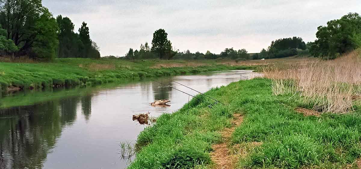 Didžiulių šapalų karalijoje. Taktika ir įranga