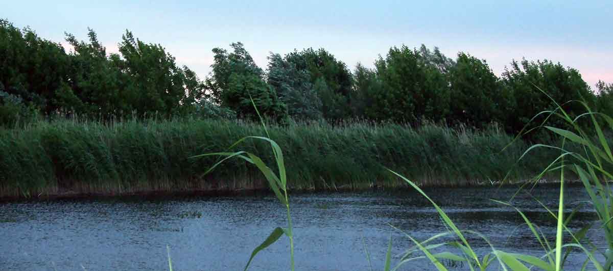 Kuršmarių karosų kibimo ypatumai