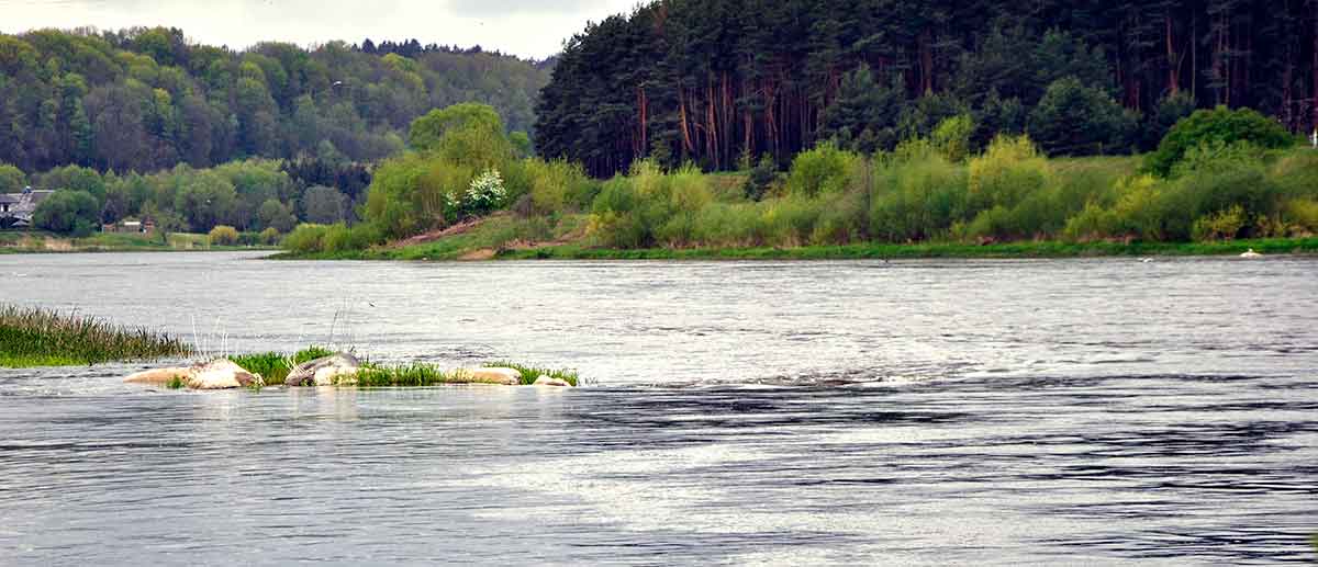 Šamą – spiningu nuo kranto. Vartiklės, sukriukės, vobleriai...