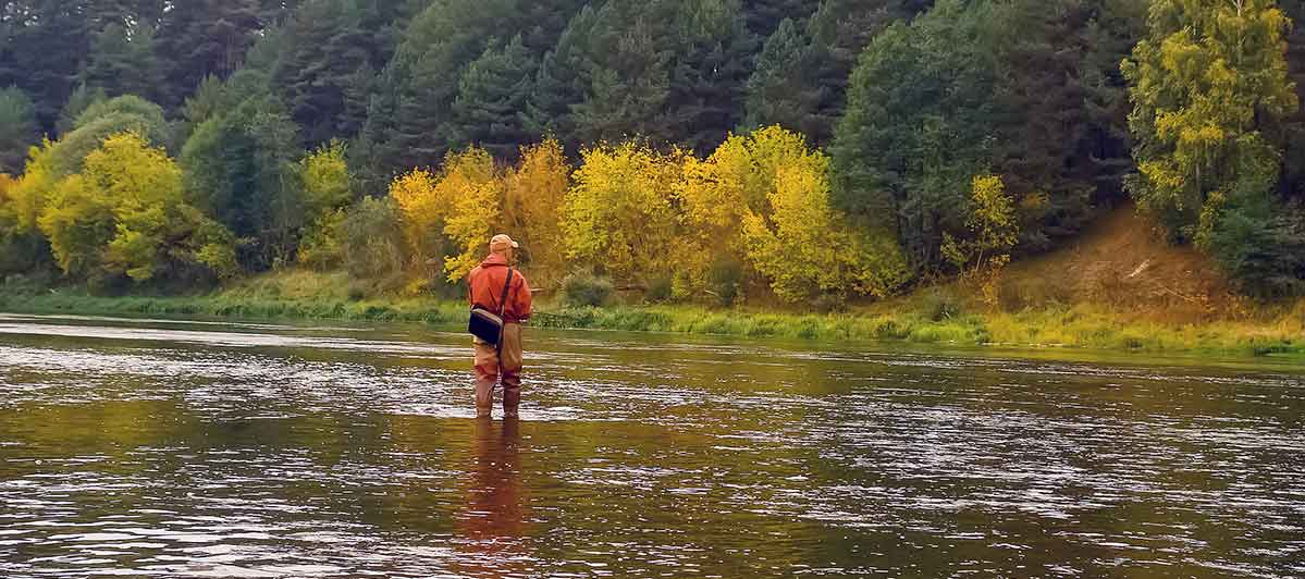 Apie šlakius, lašišas ir geriausią masalą