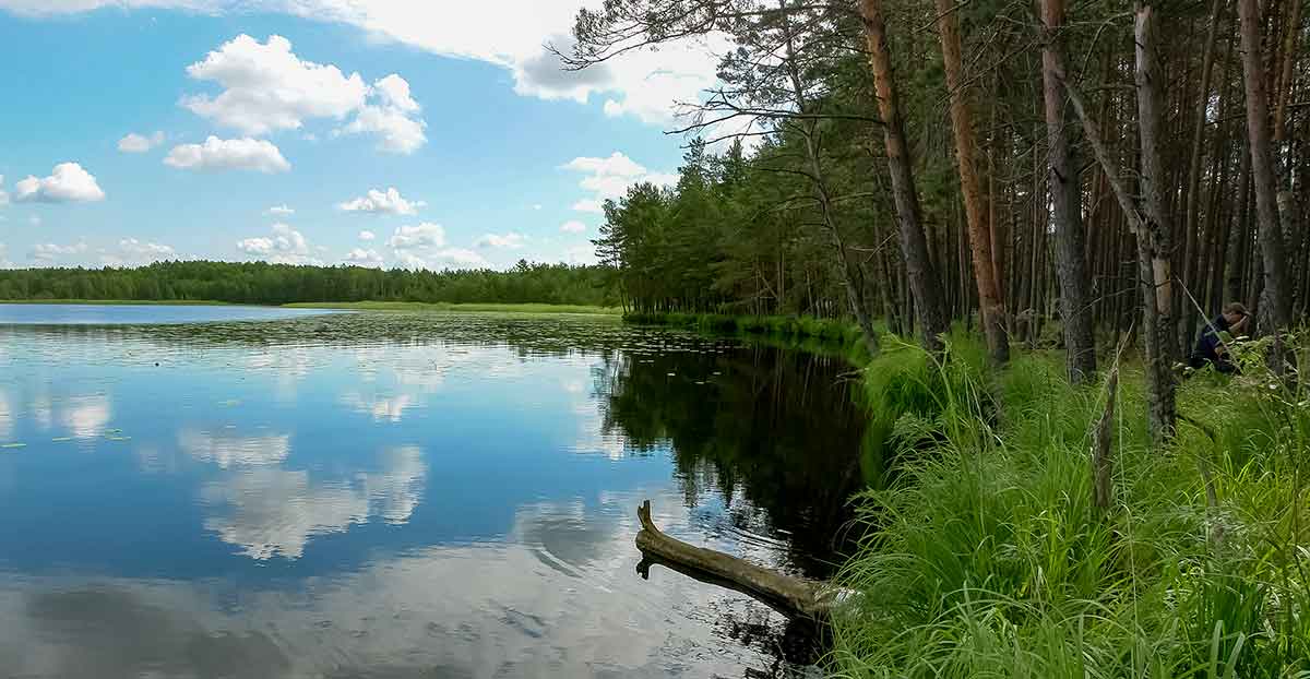 Poperiai – geri, bet mažai naudojami masalai