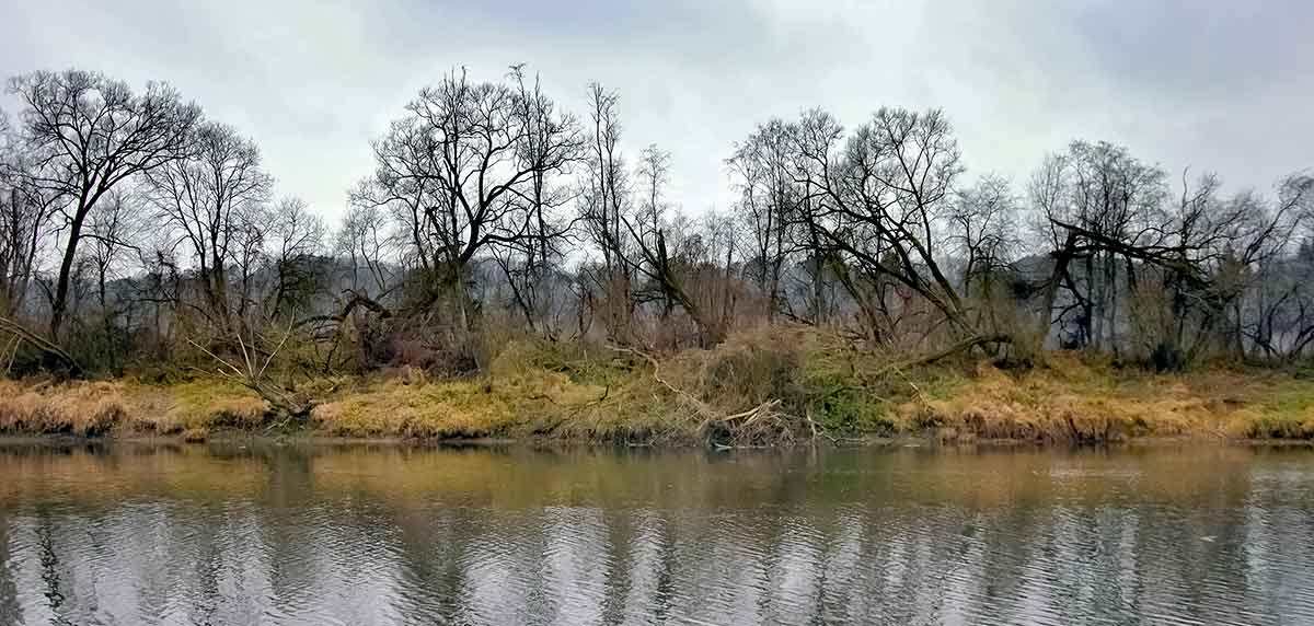 Šapalų spiningavimas iki užšąlant Nevėžiui. Kur juos rasti?