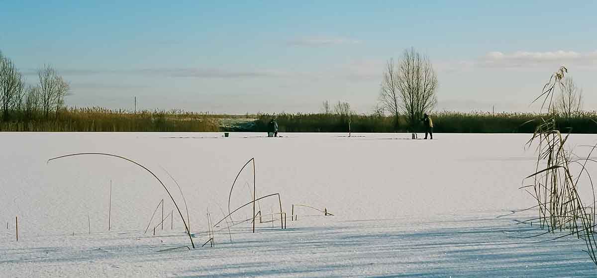 Raudžių žūklė avižėlėmis