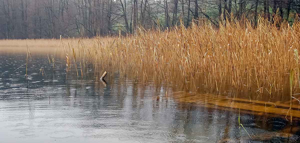 Dugninė žiemą