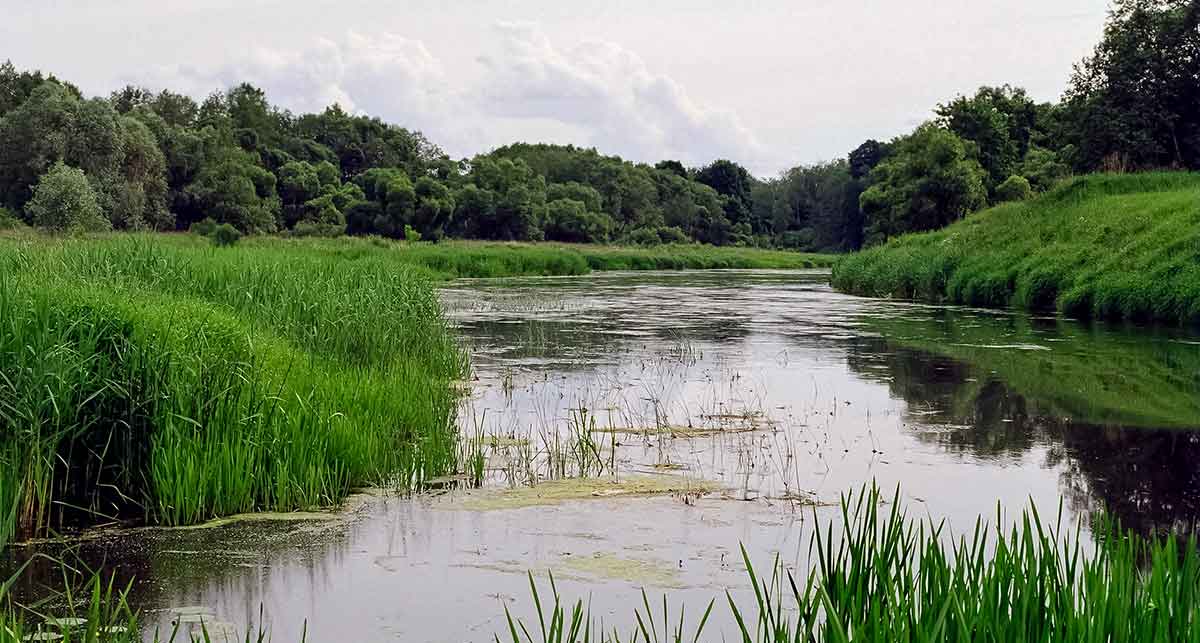 Šapalai ir vobleriai. Musės dydžio masalai