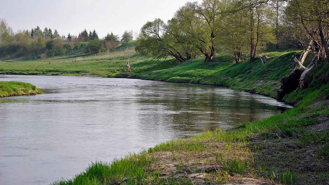 Šapalų spiningavimas pavasarį